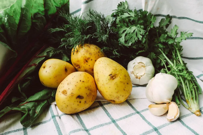 Let the Season Win: How Embracing Balinese Food Rhythms Cured My Off-Season Kitchen Rut
