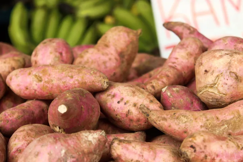 Cassava Over Quinoa: Why the Balinese Approach to Everyday Crops Is Quietly Winning